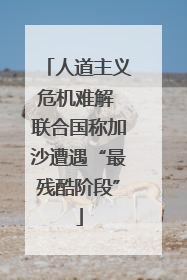 人道主义危机难解 联合国称加沙遭遇“最残酷阶段”