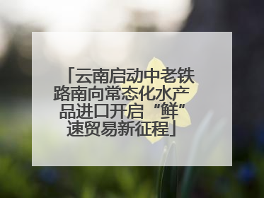 云南启动中老铁路南向常态化水产品进口开启“鲜”速贸易新征程