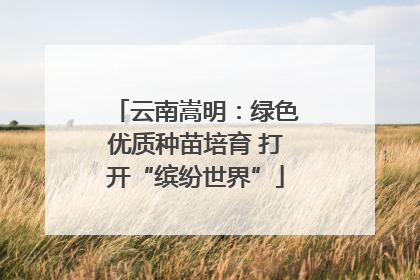 云南嵩明：绿色优质种苗培育 打开“缤纷世界”