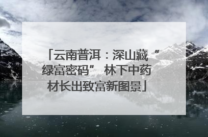 云南普洱：深山藏“绿富密码” 林下中药材长出致富新图景