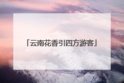 云南花香引四方游客