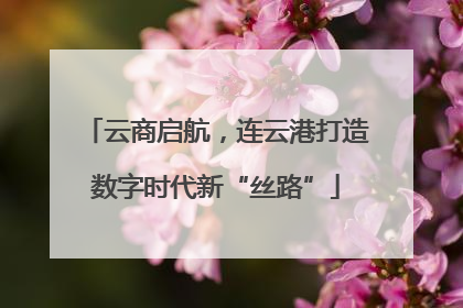 云商启航，连云港打造数字时代新“丝路”