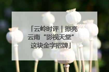 云岭时评｜擦亮云南“影视天堂”这块金字招牌