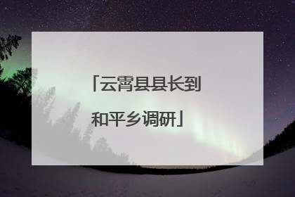 云霄县县长到和平乡调研