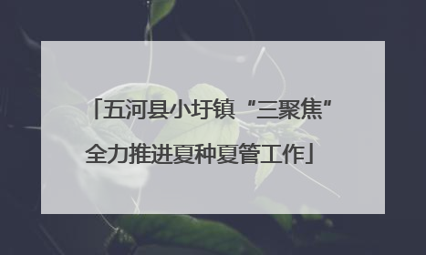 五河县小圩镇“三聚焦”全力推进夏种夏管工作