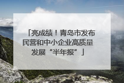 亮成绩！青岛市发布民营和中小企业高质量发展“半年报”