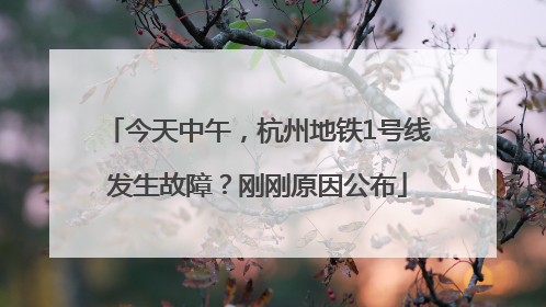今天中午，杭州地铁1号线发生故障？刚刚原因公布
