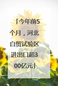 今年前5个月，河北自贸试验区进出口超300亿元