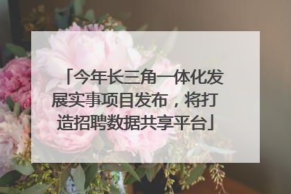今年长三角一体化发展实事项目发布，将打造招聘数据共享平台