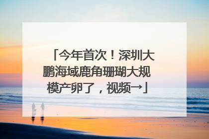 今年首次！深圳大鹏海域鹿角珊瑚大规模产卵了，视频→