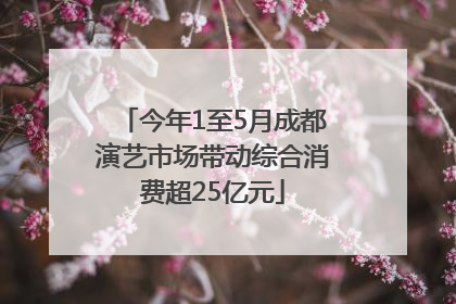 今年1至5月成都演艺市场带动综合消费超25亿元