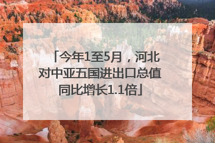 今年1至5月，河北对中亚五国进出口总值同比增长1.1倍