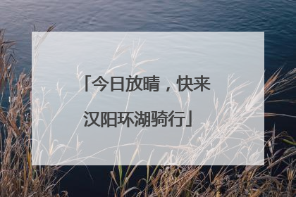今日放晴，快来汉阳环湖骑行
