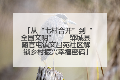 从“七村合并”到“全国文明”——郓城县随官屯镇文昌苑社区解锁乡村振兴幸福密码