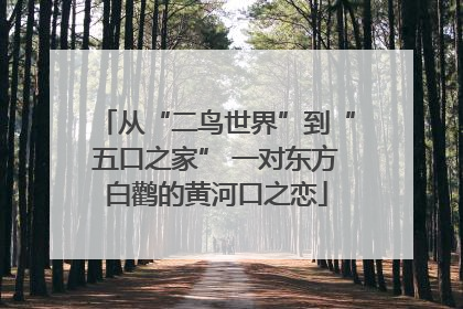 从“二鸟世界”到“五口之家” 一对东方白鹳的黄河口之恋