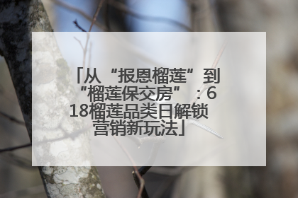 从“报恩榴莲”到“榴莲保交房”：618榴莲品类日解锁营销新玩法