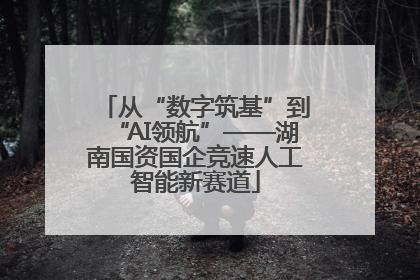 从“数字筑基”到“AI领航”——湖南国资国企竞速人工智能新赛道