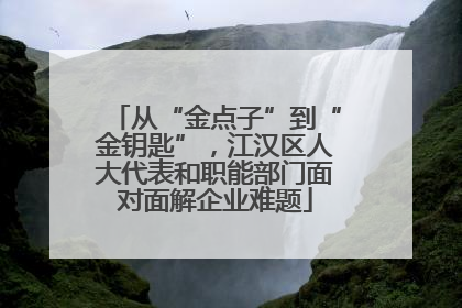 从“金点子”到“金钥匙”，江汉区人大代表和职能部门面对面解企业难题