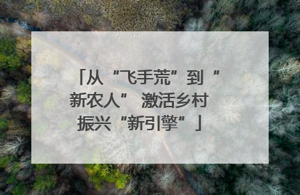 从“飞手荒”到“新农人” 激活乡村振兴“新引擎”