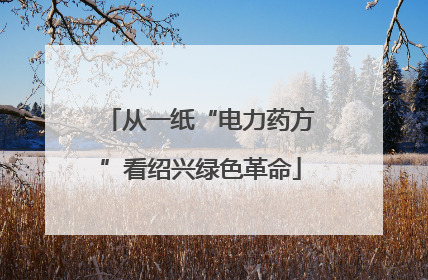 从一纸“电力药方”看绍兴绿色革命