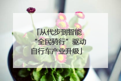 从代步到智能 “全民骑行”驱动自行车产业升级