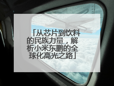从芯片到饮料的民族力量，解析小米东鹏的全球化高光之路