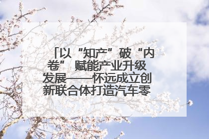 以“知产”破“内卷” 赋能产业升级发展——怀远成立创新联合体打造汽车零部件产业新高地