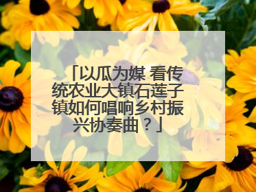 以瓜为媒 看传统农业大镇石莲子镇如何唱响乡村振兴协奏曲？