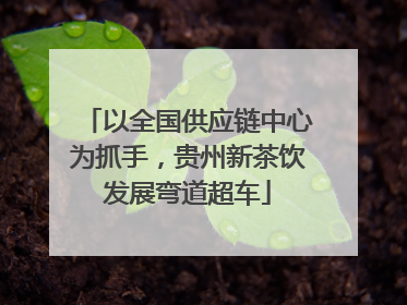 以全国供应链中心为抓手，贵州新茶饮发展弯道超车