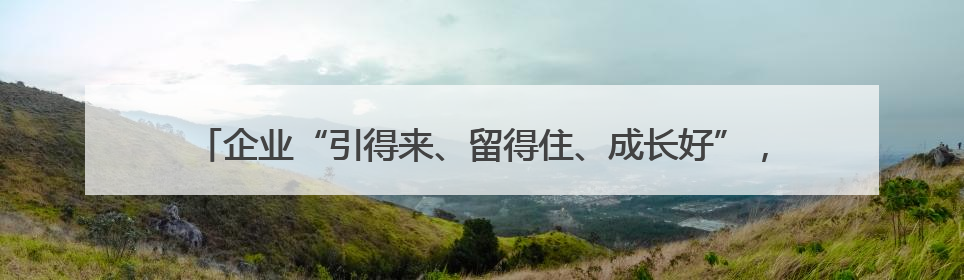 企业“引得来、留得住、成长好”，普陀“营商引力场”是如何炼就的