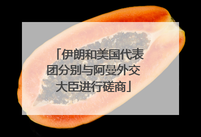 伊朗和美国代表团分别与阿曼外交大臣进行磋商