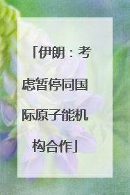 伊朗：考虑暂停同国际原子能机构合作