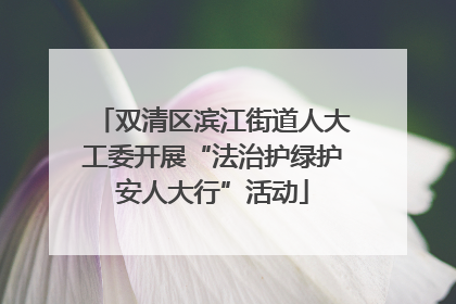 双清区滨江街道人大工委开展“法治护绿护安人大行”活动