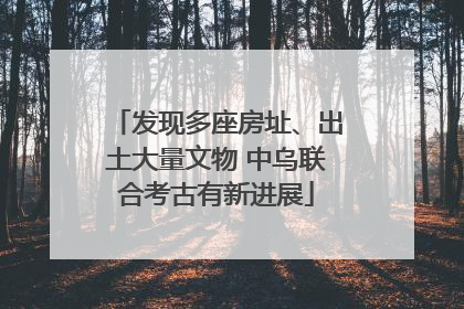 发现多座房址、出土大量文物 中乌联合考古有新进展