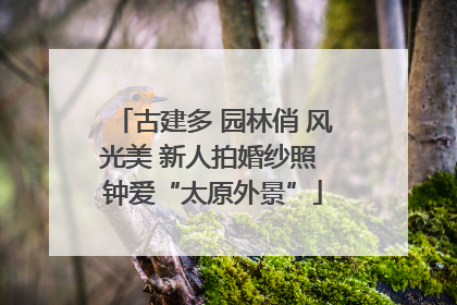 古建多 园林俏 风光美 新人拍婚纱照 钟爱“太原外景”
