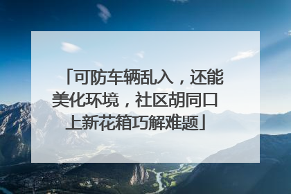 可防车辆乱入，还能美化环境，社区胡同口上新花箱巧解难题