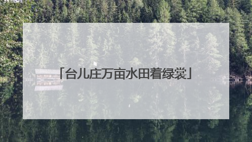 台儿庄万亩水田着绿裳