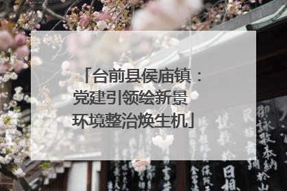 台前县侯庙镇：党建引领绘新景 环境整治焕生机