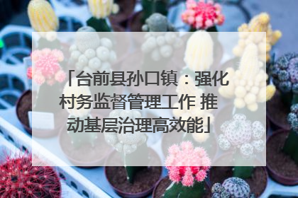 台前县孙口镇：强化村务监督管理工作 推动基层治理高效能