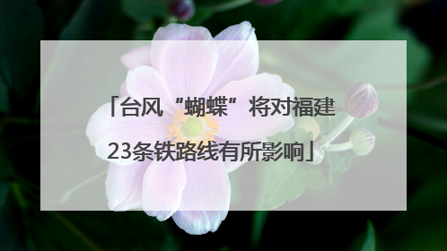 台风“蝴蝶”将对福建23条铁路线有所影响