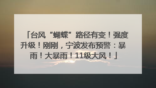 台风“蝴蝶”路径有变！强度升级！刚刚，宁波发布预警：暴雨！大暴雨！11级大风！