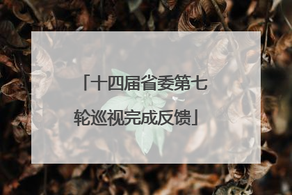 十四届省委第七轮巡视完成反馈