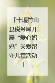 十堰竹山县税务局开展“爱心妈妈”关爱留守儿童活动