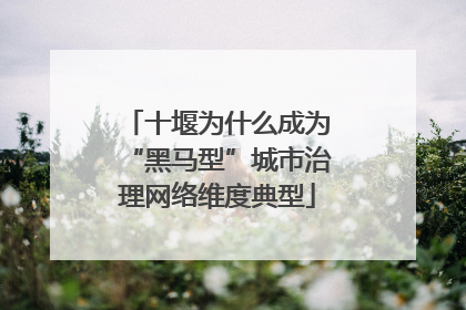 十堰为什么成为“黑马型”城市治理网络维度典型