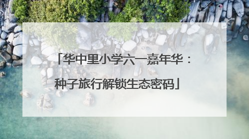 华中里小学六一嘉年华：种子旅行解锁生态密码