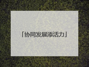 协同发展添活力