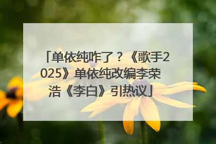 单依纯咋了？《歌手2025》单依纯改编李荣浩《李白》引热议