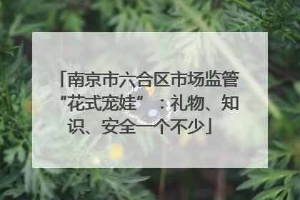 南京市六合区市场监管“花式宠娃”：礼物、知识、安全一个不少