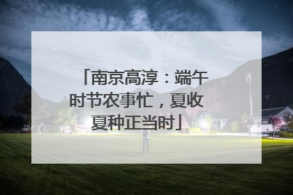南京高淳：端午时节农事忙，夏收夏种正当时