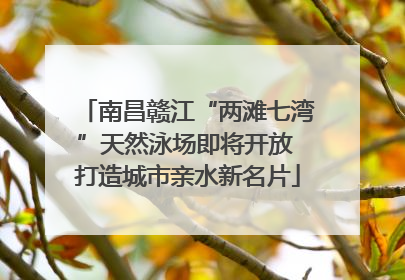 南昌赣江“两滩七湾”天然泳场即将开放 打造城市亲水新名片